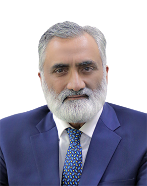 Prof Dr Aman Ullah Malik