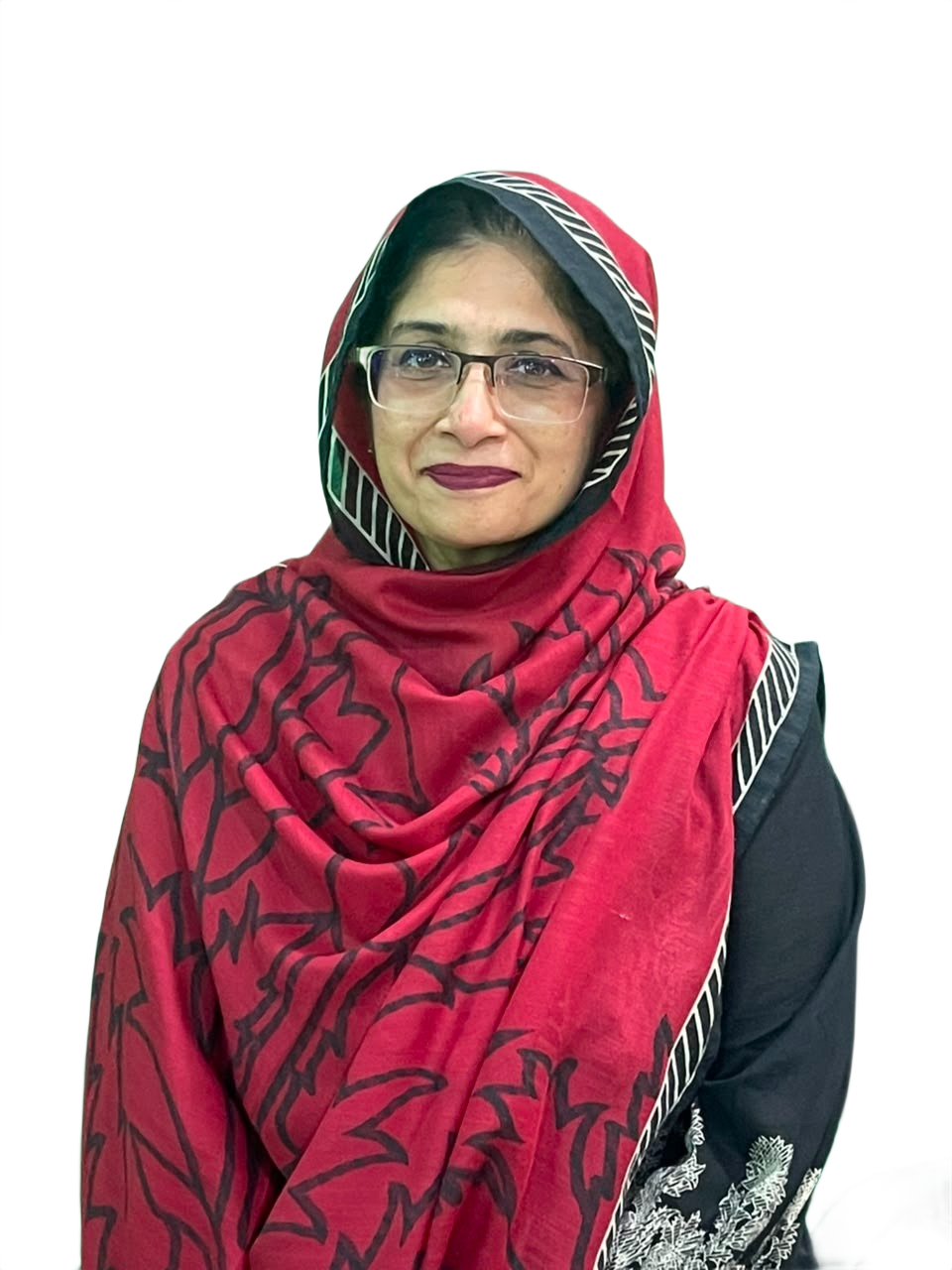 Ms Flizza Mehmood