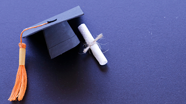 Undergraduate Program
