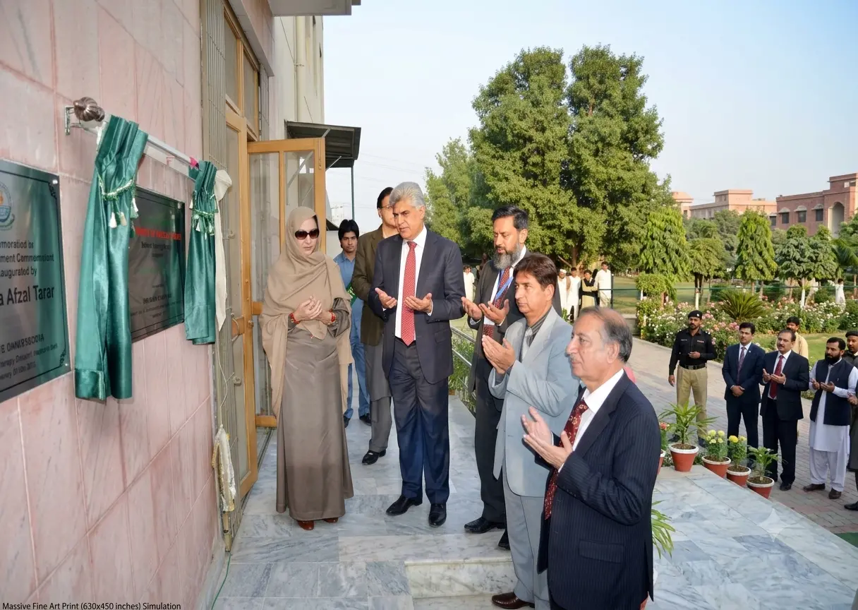 Department of Physical Therapy Established