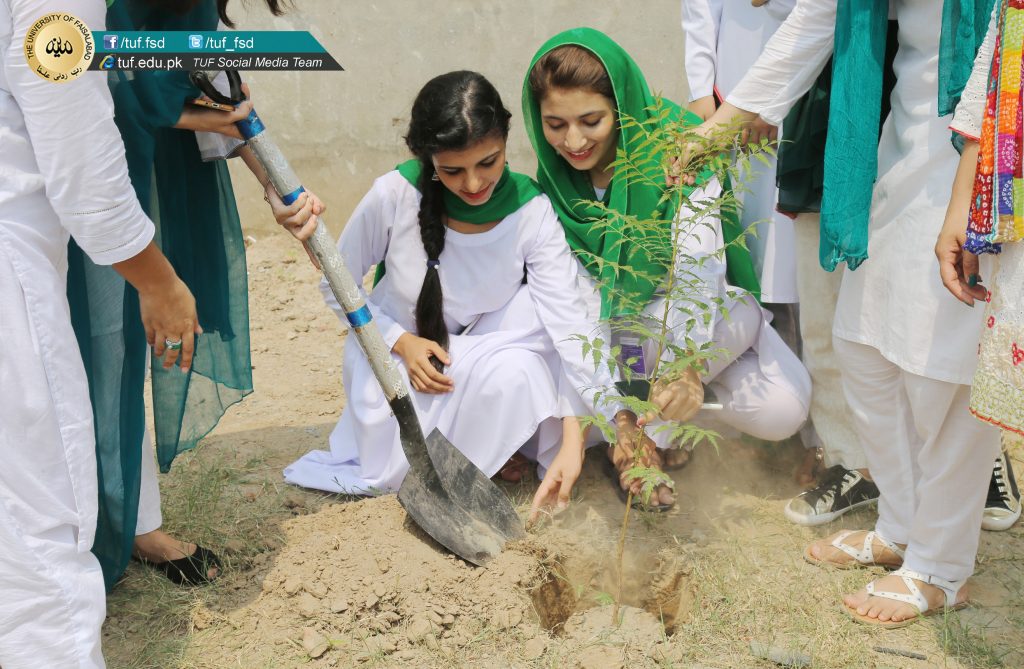 TUFIANS TREE PLANTATION DRIVE