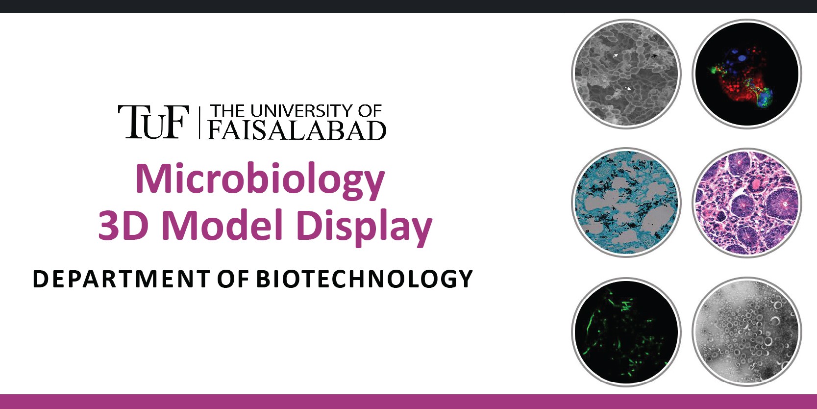 3D MODEL DISPLAY BY BIOTECHNOLOGY STUDENTS