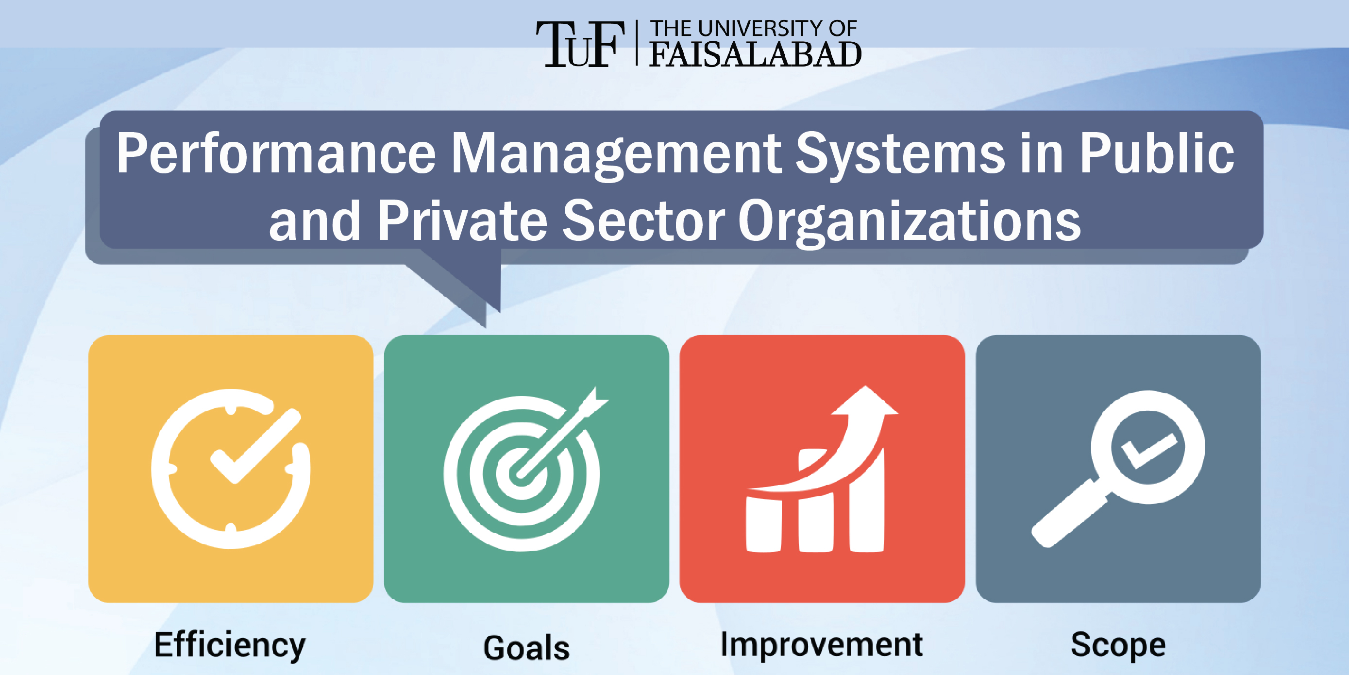 Performance Management Systems in Public and Private Sector Organizations