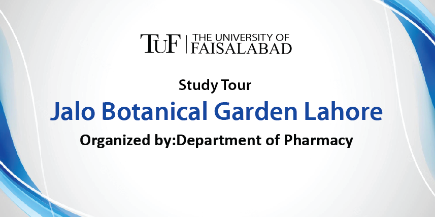 Study Tour