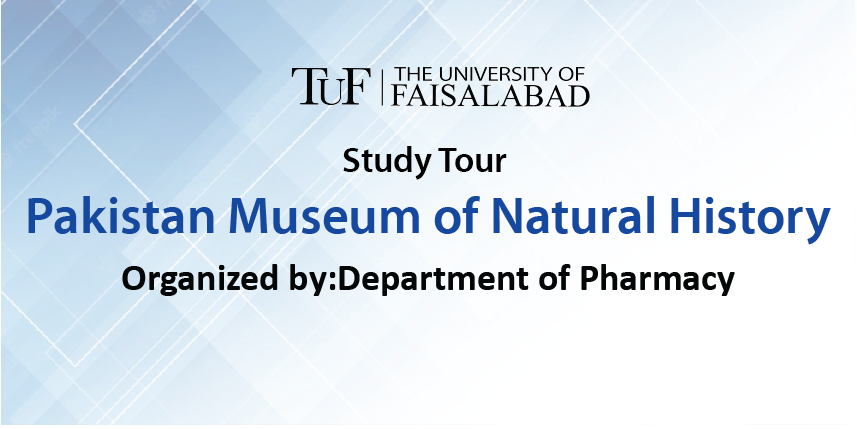 Study Tour