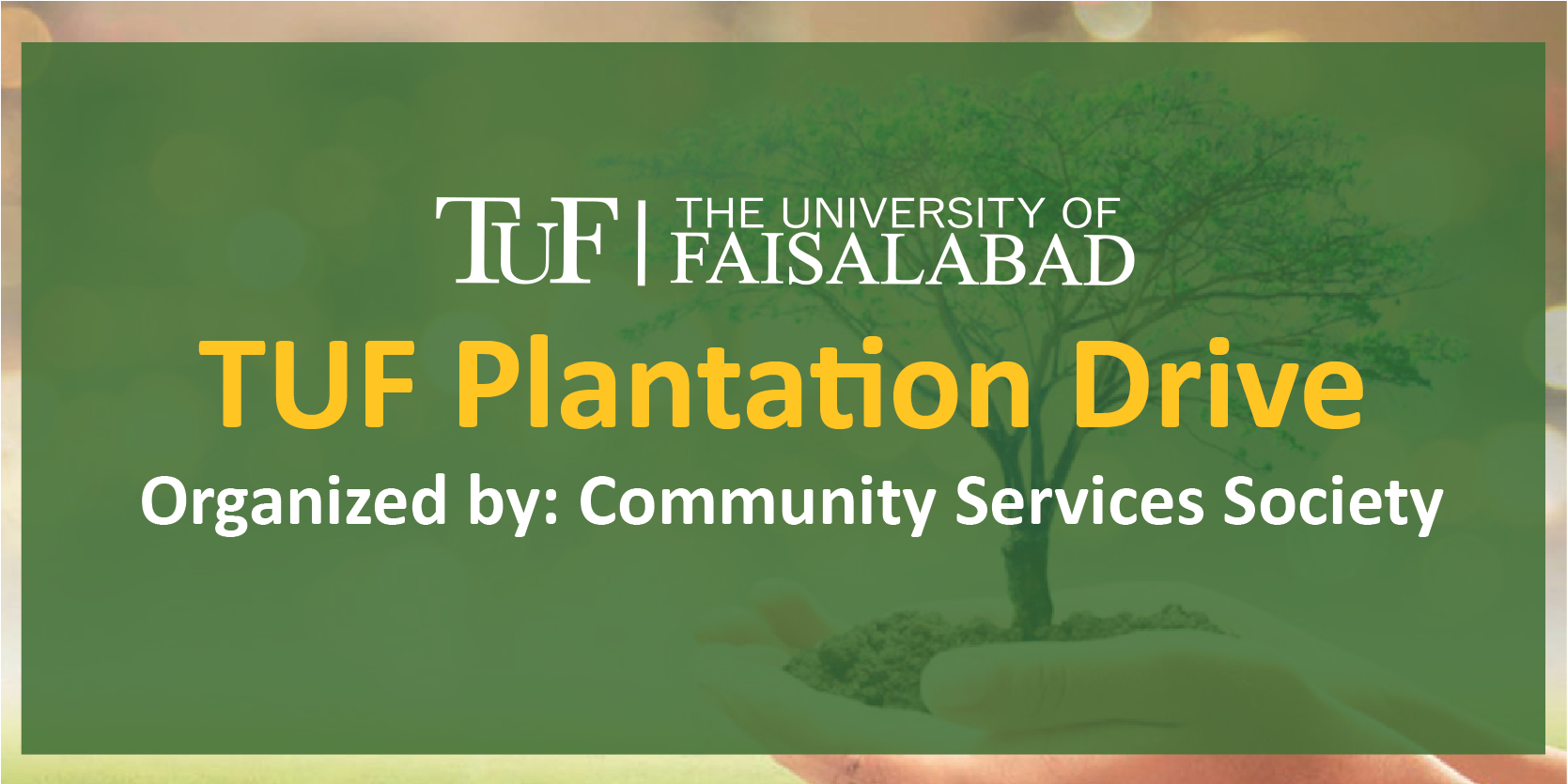 Plantation Drive