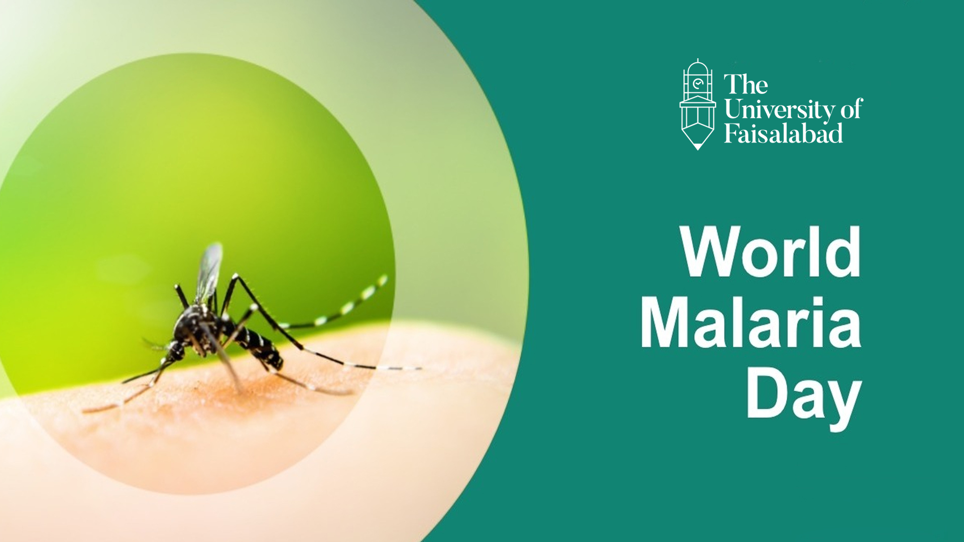 World Malaria Day-2022