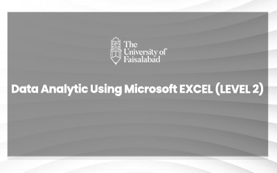 Data Analytic Using Microsoft EXCEL (LEVEL 2)